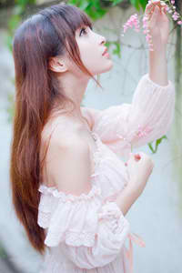 红蔷薇